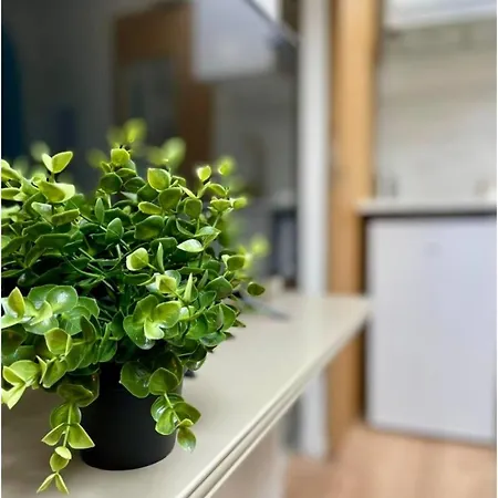 Apartment Le Petit Rome Proche Gare Lyon